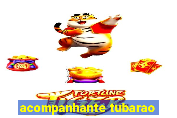 acompanhante tubarao
